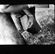 Image not available.