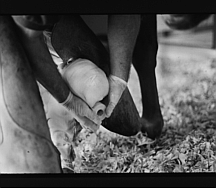 Image not available.