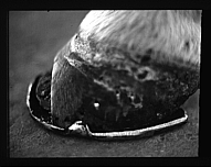 Image not available.