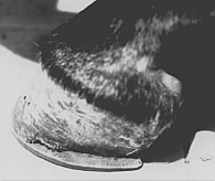 Image not available.